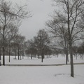 芝城雪景