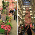 Marshall Field/Macy's Flower Show