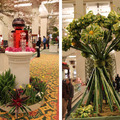 Marshall Field/Macy's Flower Show