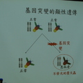 2009-06-03 特教參訪-罕見疾病基金會 - 8