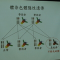 2009-06-03 特教參訪-罕見疾病基金會 - 9