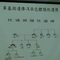 2009-06-03 特教參訪-罕見疾病基金會 - 10