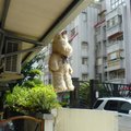 走在街上，偶遇這隻熊~
曬著太陽的熊，不知道在想什麼?
