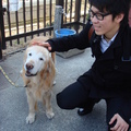 在馬場旁遇到的可愛老狗，一直對我們微笑呢