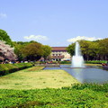 上野公園噴水池