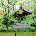 京都 - 金閣寺