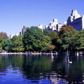 紐約 中央公園