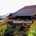 京都 - 清水寺著名的清水舞台