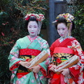 京都藝妓