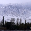 由新疆回西安～火車外窗景
2002年11月