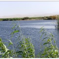 博斯騰湖位於焉耆盆地東南面博湖縣境內，是新疆最大的湖泊，也是中國最大的內陸淡水湖。 瀚海與沙漠為鄰，藍天與碧水為伴的秀麗景色令人難忘。
