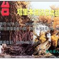 『胡楊要長千年，活著千年不死，死後千年不倒，倒後千年不朽』，
人稱“沙漠英雄樹”，是新疆荒漠和沙地上唯一能天然成林的樹種。
中國最大的原始胡楊林主要分佈在塔裏木河流過的輪臺縣、尉犁縣境內。