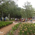 Discovery Green - 19