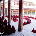 塔爾寺 喇嘛午課