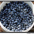Blueberry 藍莓 - 14