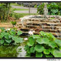 Buu Mon Buddhist Temple