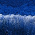 藍色書 -8   雪濤汹湧萬層浪    欲擁藍關馬不前