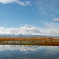 天鵝湖位於巴音布魯克草原尤勒都斯山間盆地，海拔2000—2500米，是一個東西長30公里，南北寬10公里的高原湖泊，面積300多平方公里，