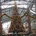 Disney Land 白天的耶誕樹，可能是展出的第一天(11/7)喔！