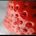 草莓季‧吃草莓 - 2