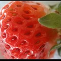 草莓季‧吃草莓 - 3