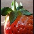 草莓季‧吃草莓 - 4