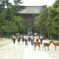 東大寺的出入口