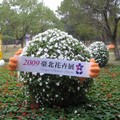 2009年台北花卉展