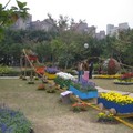 2009年台北花卉展