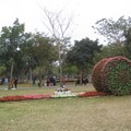 2009年台北花卉展