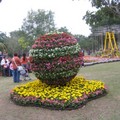 2009年台北花卉展