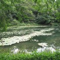 福山植物園