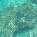Olymous diving camara