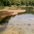 生態水池