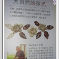 2010台北國際花卉博覽會 - 5