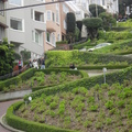全世界最陡的一條街-舊金山的lombard street.