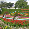 香港花卉