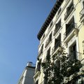 馬德里的天空總是這樣湛藍的像一片假的布景
路旁住宅的百葉窗及陽台讓人感受到古典氣息