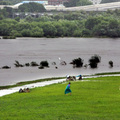 薔蜜颱風減弱，民眾29日一早在台北市中正區堤岸外散步溜狗，一旁的淡水河溪水依然兇猛。      記者林秀明／攝影