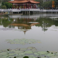 台南公園 - 3