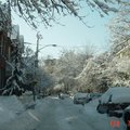 都市叢林的雪景 - 1