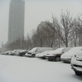 多倫多的雪--Jan, 28th, 2009 - 2