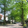 Our street