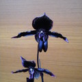 蘭花--3