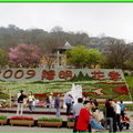 陽明山花季2009 - 9