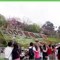 陽明山花季2009 - 11