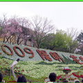 陽明山花季2009 - 12