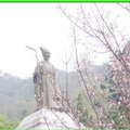 陽明山花季2009 - 17