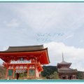日本京都－清水寺
