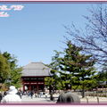 奈良公園－東大寺 - 4